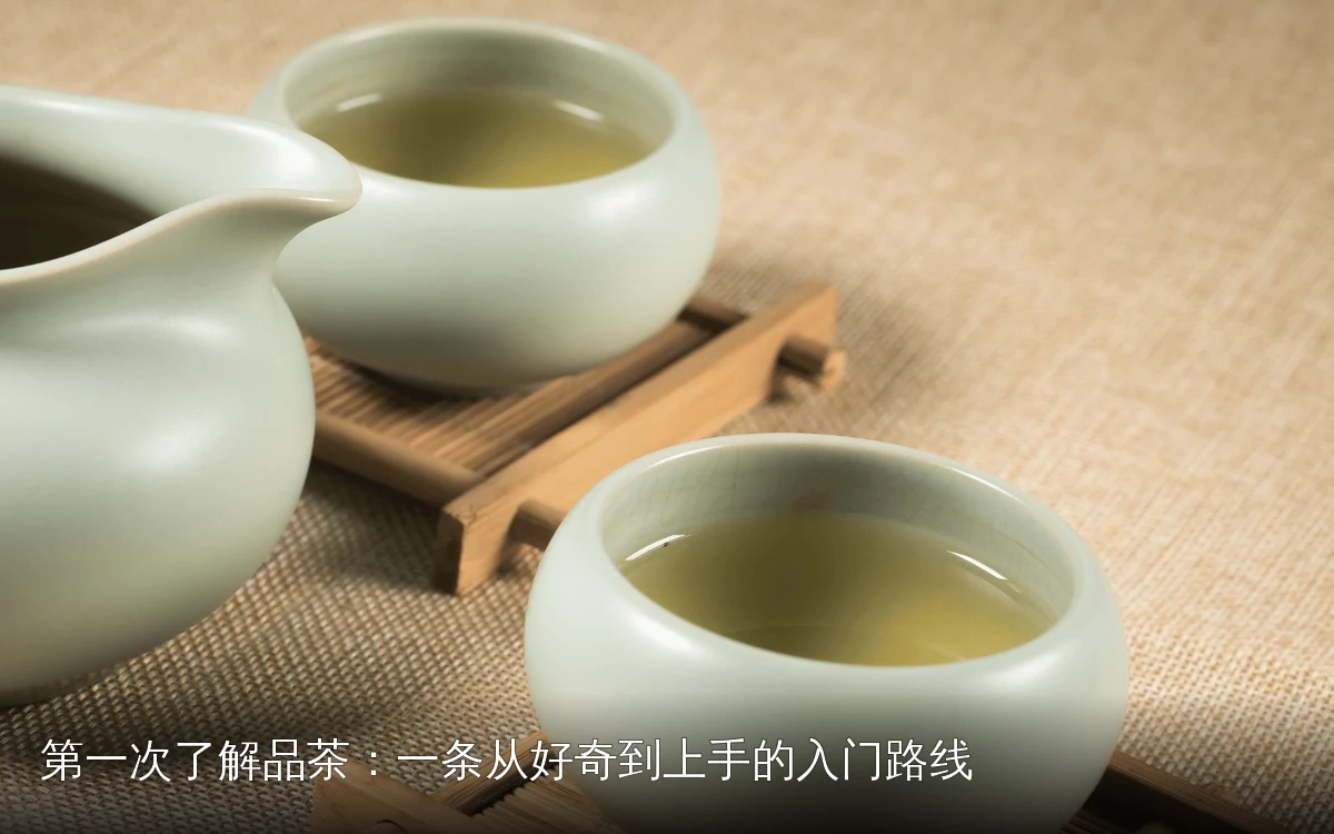 第一次了解品茶：一条从好奇到上手的入门路线
